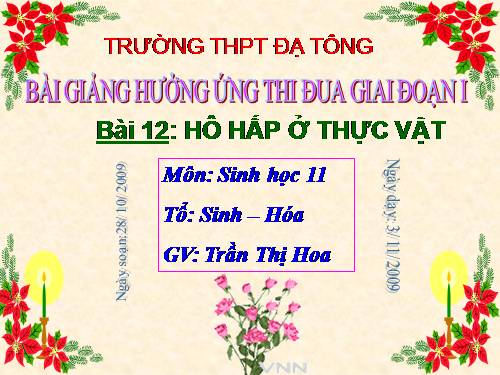 Bài 12. Hô hấp ở thực vật