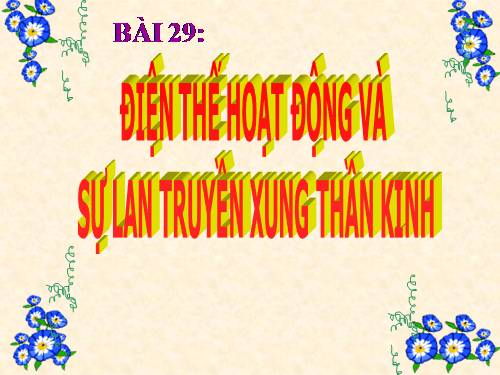 Bài 29. Điện thế hoạt động và sự lan truyền xung thần kinh