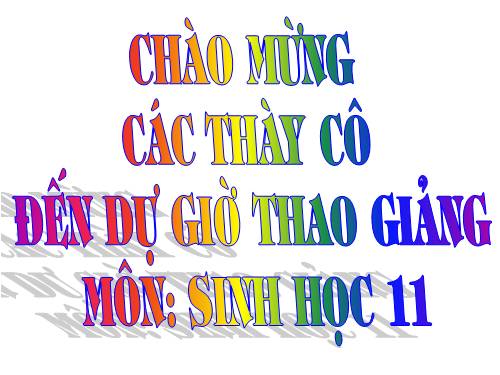 Bài 26. Cảm ứng ở động vật