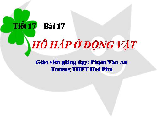 Bài 17. Hô hấp ở động vật