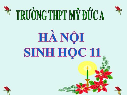 Bài 12. Hô hấp ở thực vật