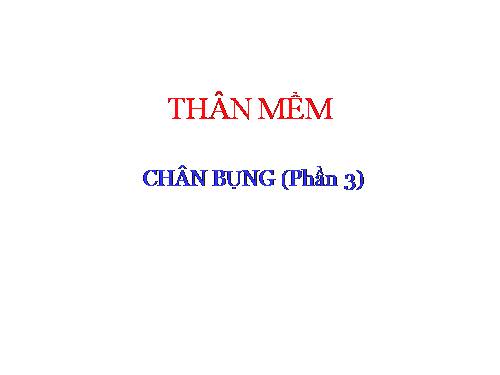 Thân mềm (P4)