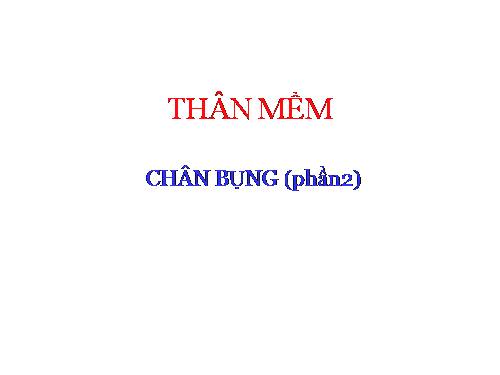 Thân mềm P2