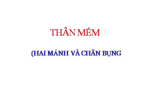 Động vật thân mềm