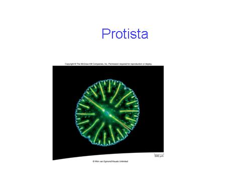 Đa dạng sinh học (Protista)