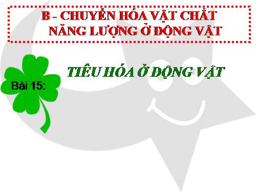 Bài 15. Tiêu hoá ở động vật