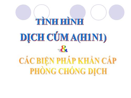 Tập huấn cúm AH1N1