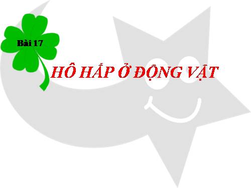 Bài 17. Hô hấp ở động vật