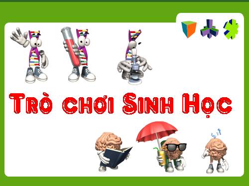 Trò chơi ô chữ ( Dùng cho ngoại khóa )