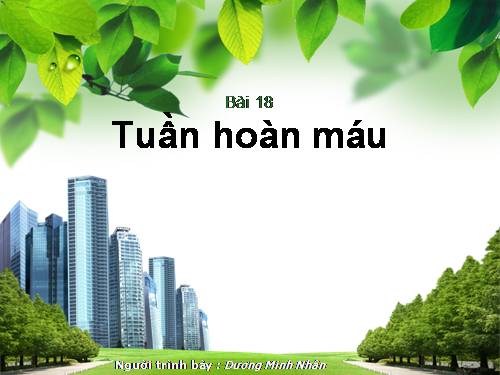 Bài 18. Tuần hoàn máu