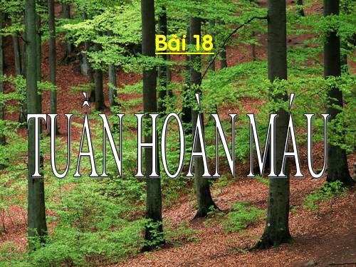 Bài 18. Tuần hoàn máu