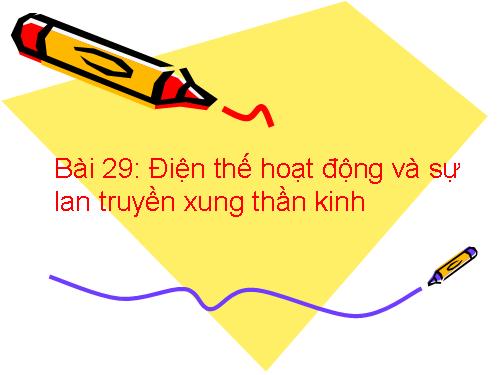 Bài 29. Điện thế hoạt động và sự lan truyền xung thần kinh