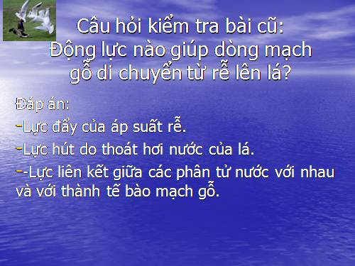 Bài 3. Thoát hơi nước