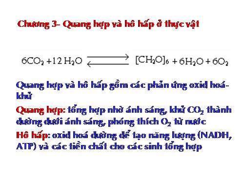 sinh hoc  11, tu lieu quy ( dai cuong)