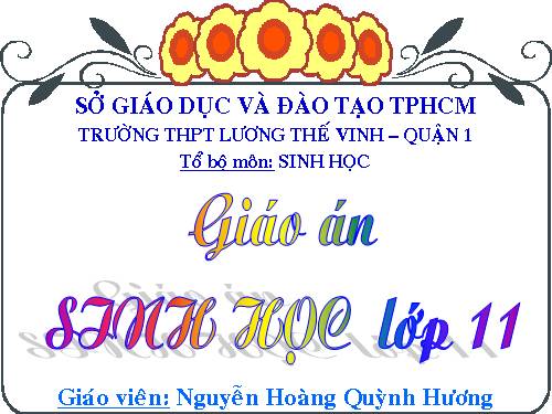 Bài 9. Quang hợp ở các nhóm thực vật C3, C4 và CAM