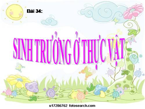 Bài 34. Sinh trưởng ở thực vật