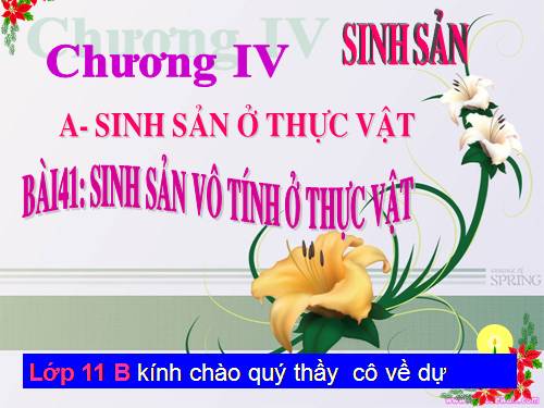 Bài 41. Sinh sản vô tính ở thực vật