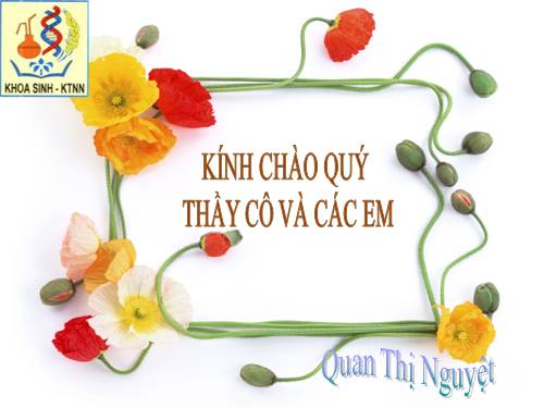 Bài 42. Sinh sản hữu tính ở thực vật