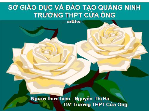 Bài 2. Vận chuyển các chất trong cây