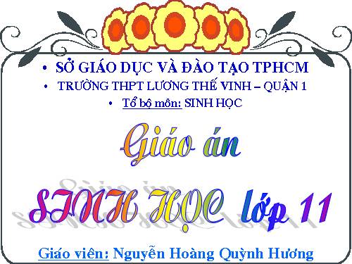 Bài 9. Quang hợp ở các nhóm thực vật C3, C4 và CAM