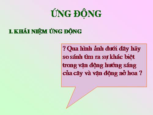 Bài 24. Ứng động