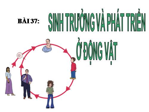 Bài 37. Sinh trưởng và phát triển ở động vật