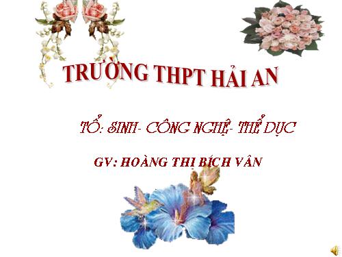 Bài 37. Sinh trưởng và phát triển ở động vật