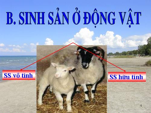 Bài 44. Sinh sản vô tính ở động vật