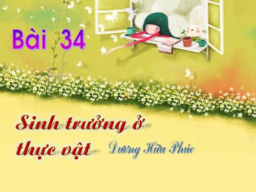 Bài 34. Sinh trưởng ở thực vật