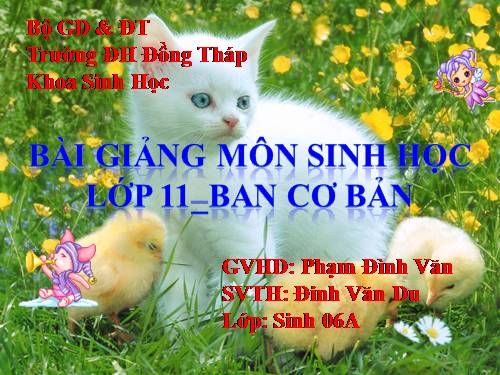 Bài 8. Quang hợp ở thực vật