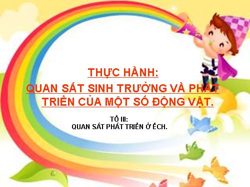 Bài 40. Thực hành: Xem phim về sinh trưởng và phát triển ở động vật