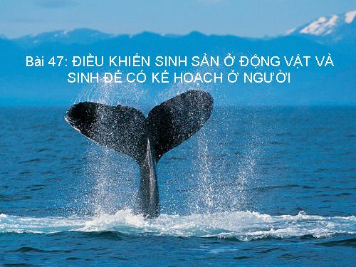 Bài 47. Điều khiển sinh sản ở động vật và sinh đẻ có kế hoạch ở người