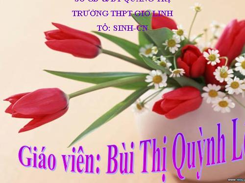 Bài 42. Sinh sản hữu tính ở thực vật