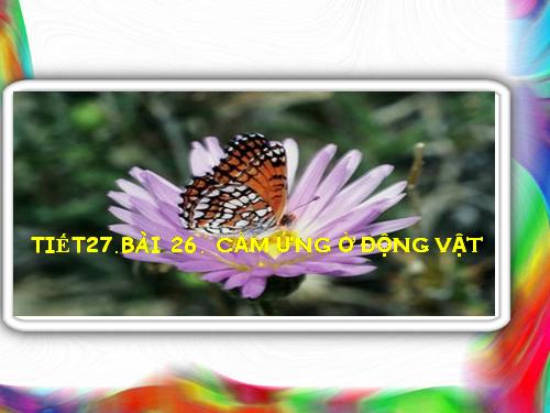 Bài 26. Cảm ứng ở động vật