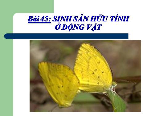 Bài 45. Sinh sản hữu tính ở động vật