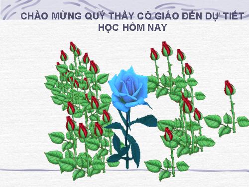 Bài 42. Sinh sản hữu tính ở thực vật