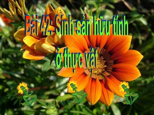 Bài 42. Sinh sản hữu tính ở thực vật