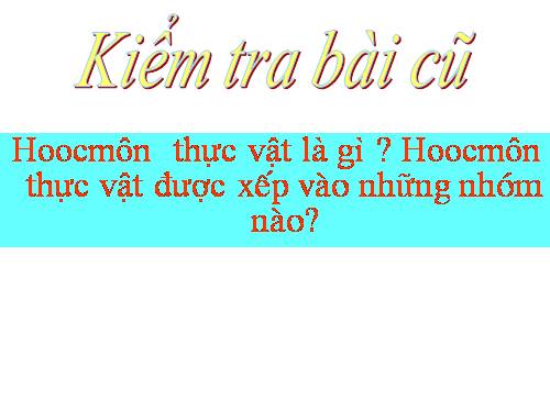 Bài 36. Phát triển ở thực vật có hoa