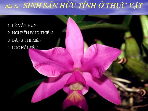 Bài 42. Sinh sản hữu tính ở thực vật