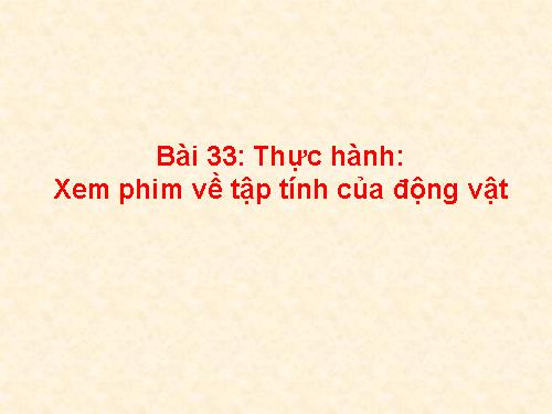 Bài 33. Thực hành: Xem phim về tập tính của động vật