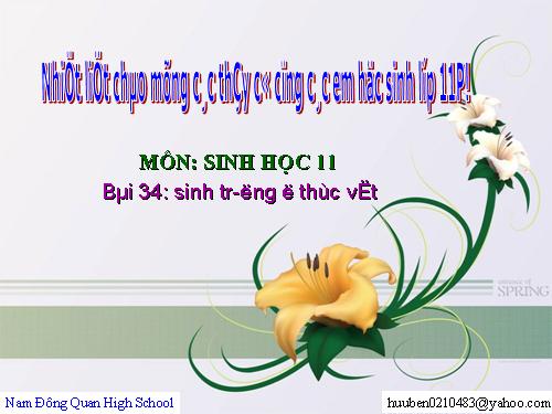 Bài 34. Sinh trưởng ở thực vật