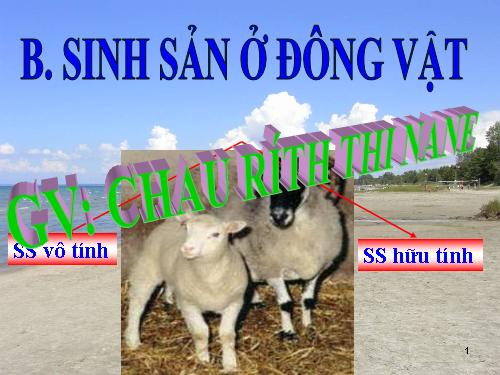 Bài 44. Sinh sản vô tính ở động vật