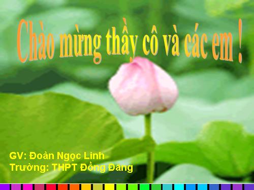 Bài 35. Hoocmôn thực vật