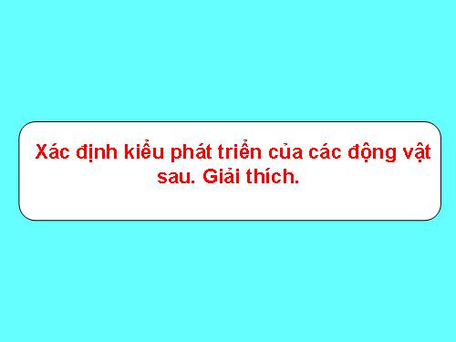 Bài 38. Các nhân tố ảnh hưởng đến sinh trưởng và phát triển ở động vật