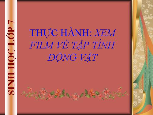 Bài 33. Thực hành: Xem phim về tập tính của động vật