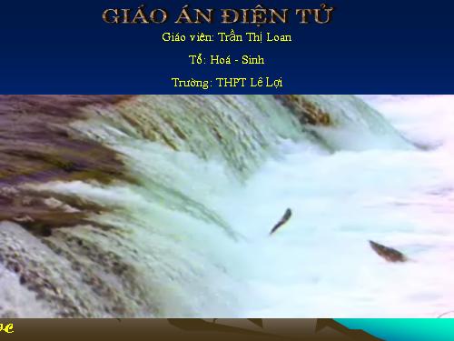 Bài 19. Tuần hoàn máu (tiếp theo)