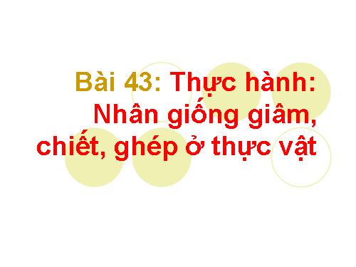 Bài 43. Thực hành: Nhân giống vô tính ở thực vật bằng giấm, chiết, ghép