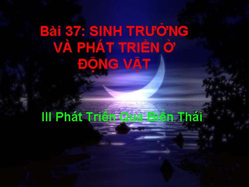 Bài 37. Sinh trưởng và phát triển ở động vật