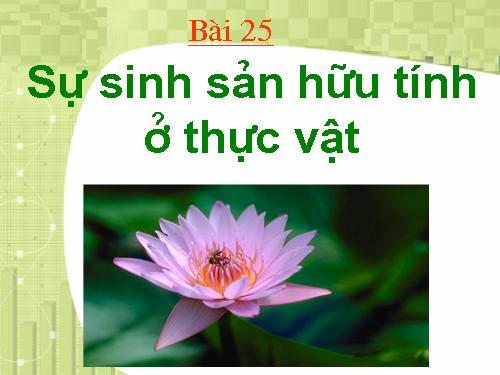 Bài 41. Sinh sản vô tính ở thực vật