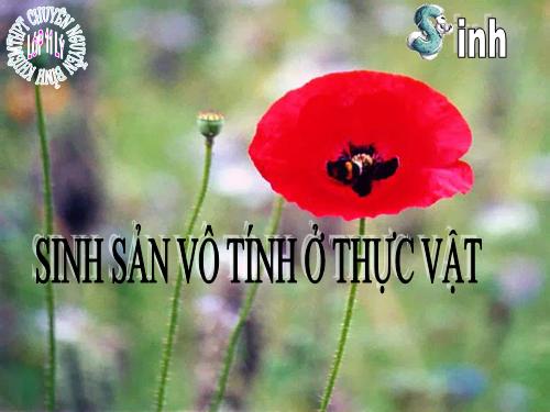 Bài 41. Sinh sản vô tính ở thực vật